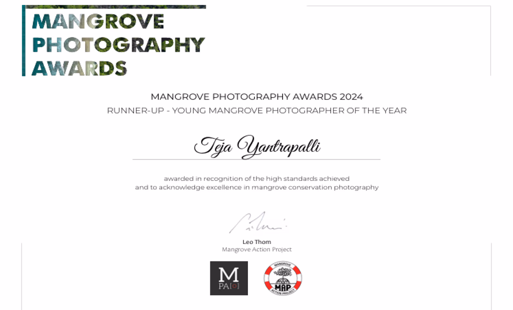 Award 5